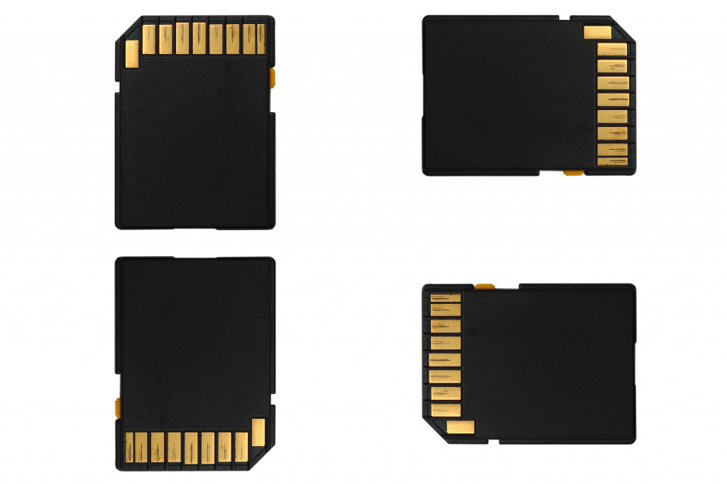 Four SD memory cards on a white background